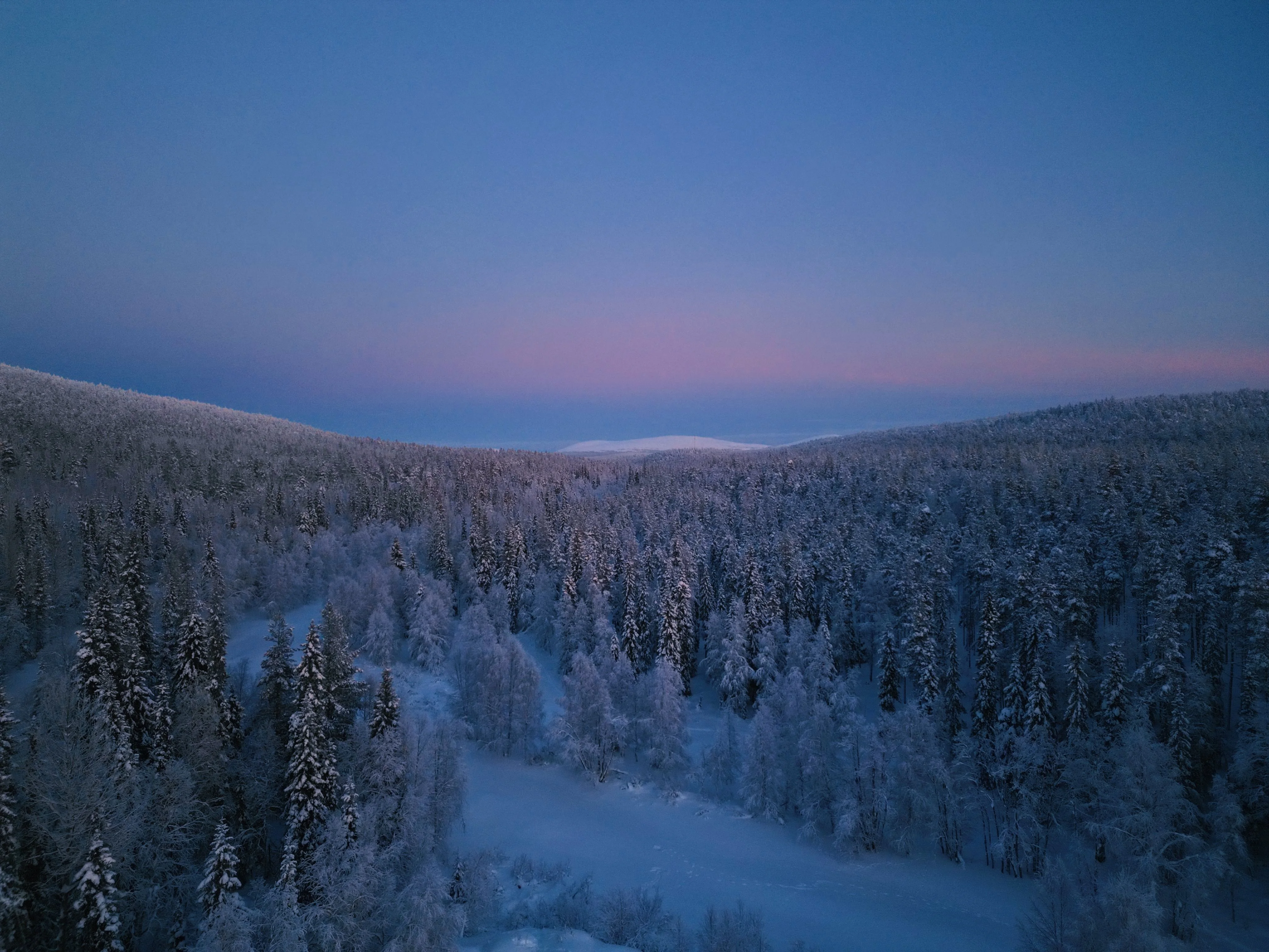 Luminen metsä- ja tunturimaisema sinisen hetken aikaan